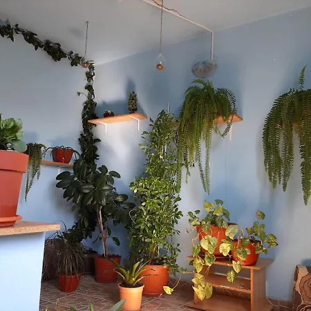 Casa Ana Guest house 3*