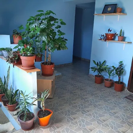 Casa Ana Pensionat 3*