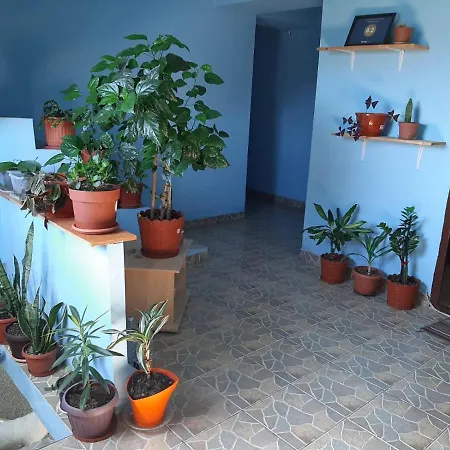 Casa Ana 招待所 *