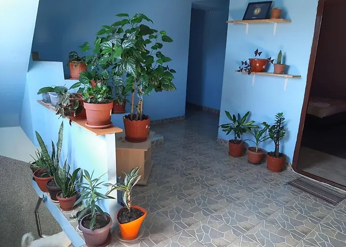 Casa Ana Penzion 3*