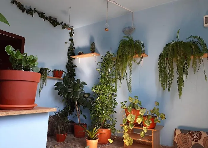 Casa Ana Vendégház 3*